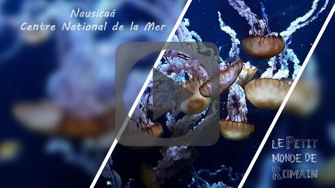 Nausicaá - Centre National de la Mer